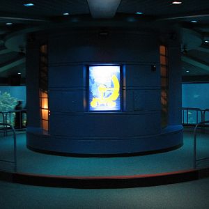 The Seas at EPCOT - Observation Deck