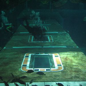 The Seas at EPCOT - Caribbean Coral Reef and Ride Tunnel