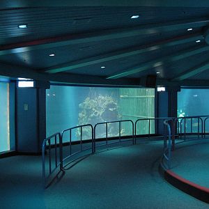 The Seas at EPCOT - Observation Deck View of Dolphin Habitat