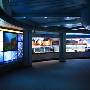 The Seas at EPCOT - Aquaculture Lab