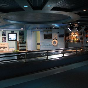 The Seas at EPCOT - West Indian Manatee Exhibit Upper Level