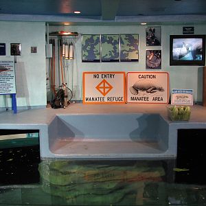 The Seas at EPCOT - West Indian Manatee Exhibit Upper Level