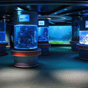 The Seas at EPCOT - Six Column Tanks