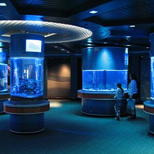 The Seas at EPCOT - Six Column Tanks
