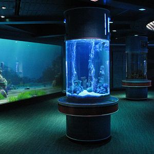 The Seas at EPCOT - Six Column Tanks