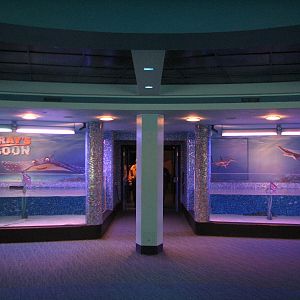 The Seas at EPCOT - Mr. Rays Lagoon