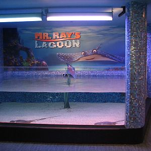 The Seas at EPCOT - Mr. Rays Lagoon