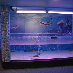 The Seas at EPCOT - Mr. Rays Lagoon