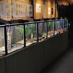 Spider Exhibition