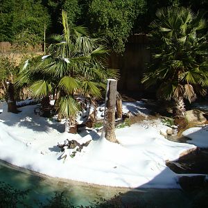 Sumatran Tiger exhibit