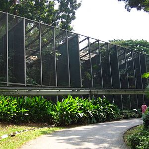 Hornbills and Toucans exhibit