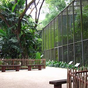 Hornbills and Toucans exhibit