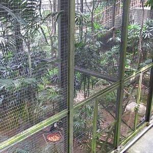 Hornbills and Toucans exhibit