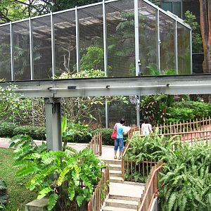 Hornbills and Toucans exhibit