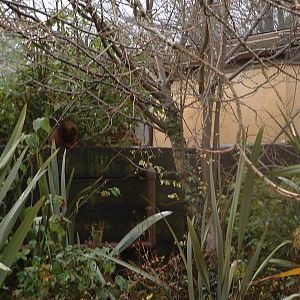 'Welcome to Madagascar!'