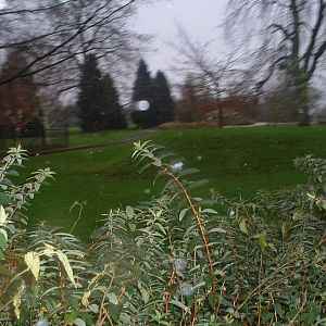 Future Exhibit Space