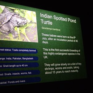 Signage example at SeaLife Birmingham 28/02/10