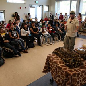 Leopard skin coat, ivory, etc