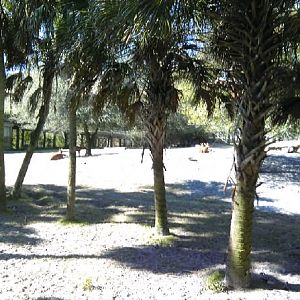 African Field Exhibit