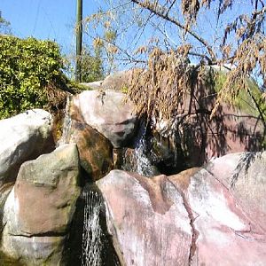 Great Rift Valley Avairy