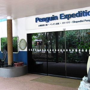 Penguin Expedition