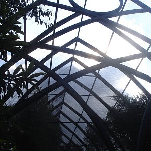 Aviary