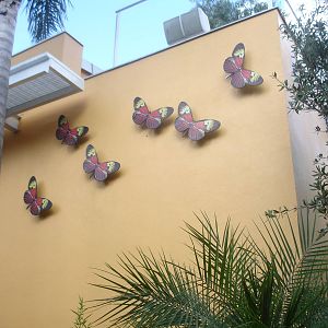 Butterfly building