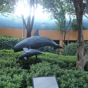 Porpoise Sculpture