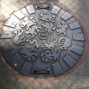Person hole cover