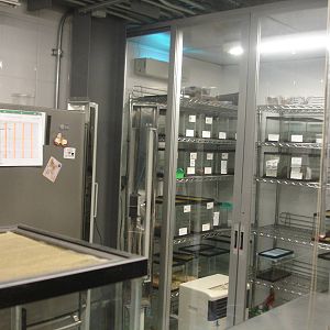 Behind the scenes - bugs