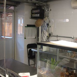 Behind the scenes - bugs