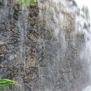Water wall - butterfly house