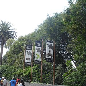 Signs directing to Arthropods