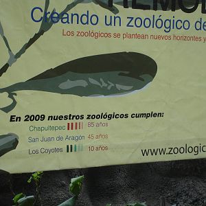 Sign showing ages of the 3 Mexico City zoos