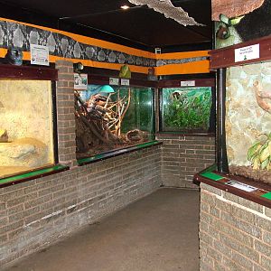 Reptile House interior at Birmingham Nature Centre 28/02/10