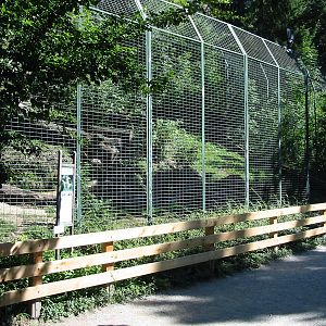 Tiergarten Hellbrunn - One of the big cat enclosures