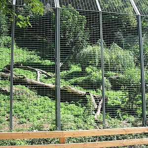 Tiergarten Hellbrunn - One of the big cat enclosures