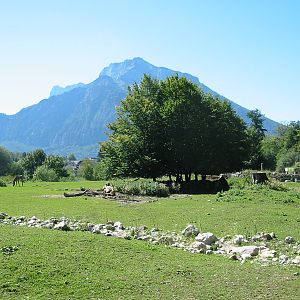 Tiergarten Hellbrunn - Incredible view from the Savannah exhibit