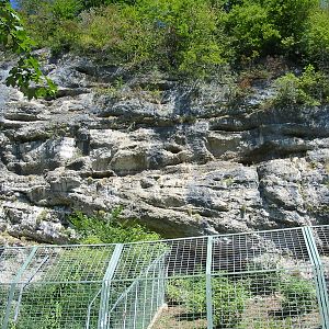 Tiergarten Hellbrunn - The cliff above the big cat enclosures
