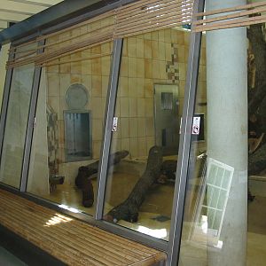 Tiergarten Schönbrunn - Indoor Panda exhibit