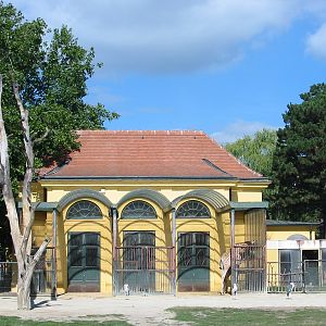 Tiergarten Schönbrunn - Giraffe and Marabu enclosure