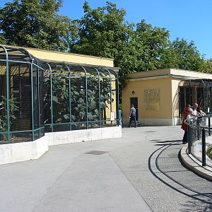 Tiergarten Schönbrunn - General tiergarten scene