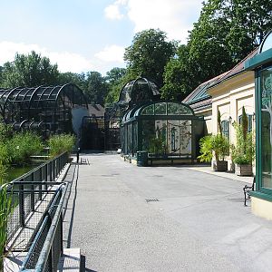 Tiergarten Schönbrunn - General tiergarten scene