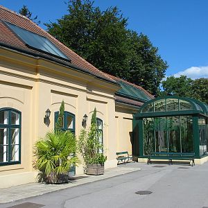 Tiergarten Schönbrunn - General tiergarten scene