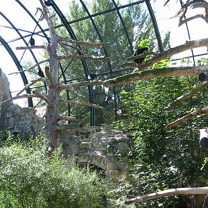 Tiergarten Schönbrunn - Inside an Aviary