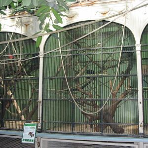 Tiergarten Schönbrunn - Inside the Monkey House