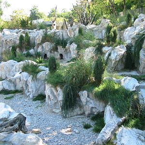 Tiergarten Schönbrunn - The new Penguin exhibit