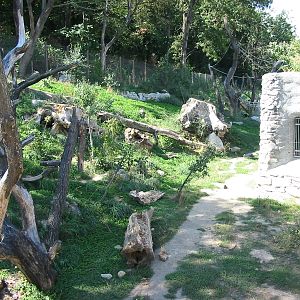 Tiergarten Schönbrunn - Spectacled Bear exhibit