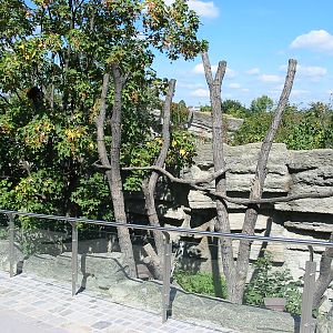 Tiergarten Schönbrunn - Red Panda exhibit