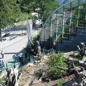 Tiergarten Schönbrunn - Top-view of the hilly Syrian Brown Bear exhibit
